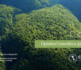 La nueva opinión consultiva de la Corte Interamericana: una herramienta para continuar la defensa ambiental en nuestros territorios