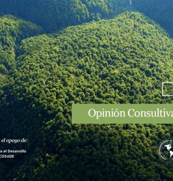La nueva opinión consultiva de la Corte Interamericana: una herramienta para continuar la defensa ambiental en nuestros territorios
