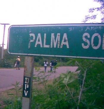 Palma Sola: extractivismo, cobre y vulneración del derecho a la Consulta Previa, Libre e Informada
