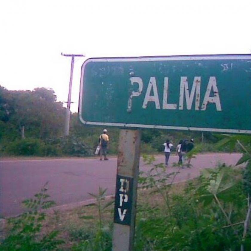 Palma Sola: extractivismo, cobre y vulneración del derecho a la Consulta Previa, Libre e Informada