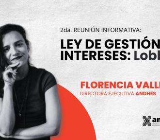 Aportes desde ANDHES a la discusión sobre la Ley de Lobby